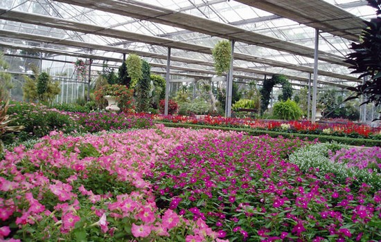 Fresh garden
